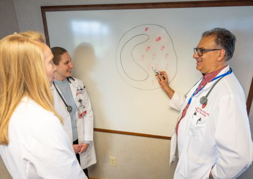 Dr. Sameer Mathur illustrates on a whiteboard while talking to T32 fellows 