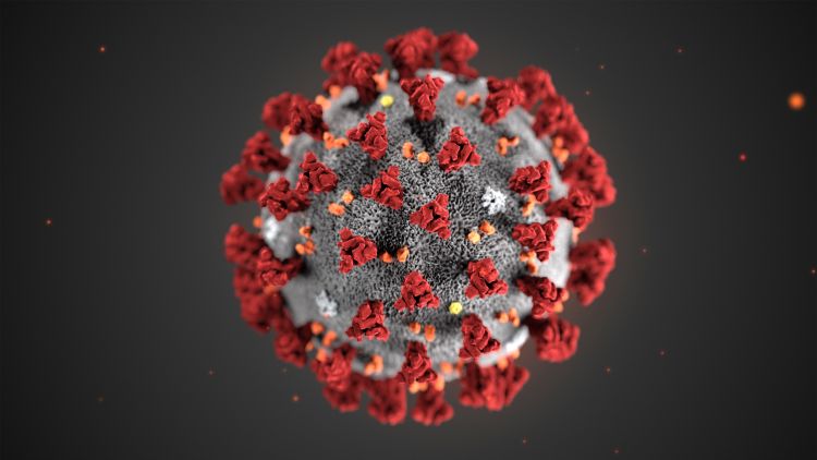 COVID-19 virus