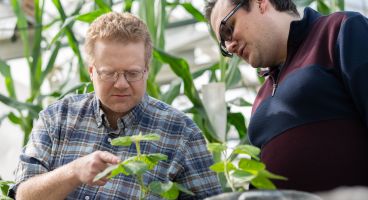 Dr. Lamming, left, with Dr. Brunkard, in a greenhouse looking at plants.