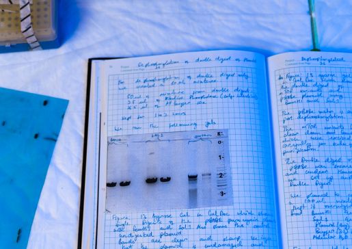 laboratory notebook