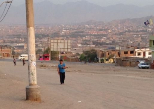 Cardiovascular Disease Risk Factors of Adolescents in Peruvian Shantytown
