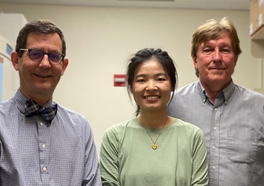 Photo of Vincent Cryns, Mo Chen and Richard A. Anderson